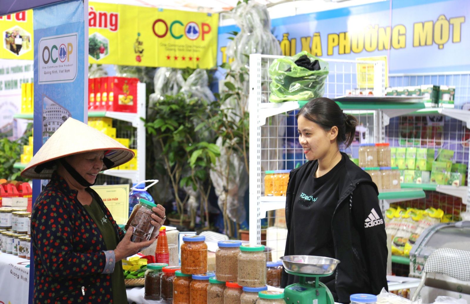   Hội chợ mừng Đảng - mừng Xuân Thái Bình năm 2024 diễn ra từ ngày 23 - 28/1/2024 tại thành phố Thái Bình