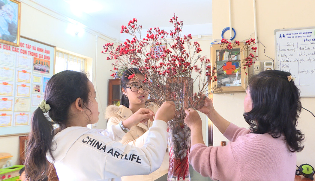   Thực hiện chương trình Chăm sóc sức khỏe tâm thần trẻ em, chăm sóc trẻ em mồ côi trên địa bàn tỉnh Thái Bình giai đoạn 2024 - 2030