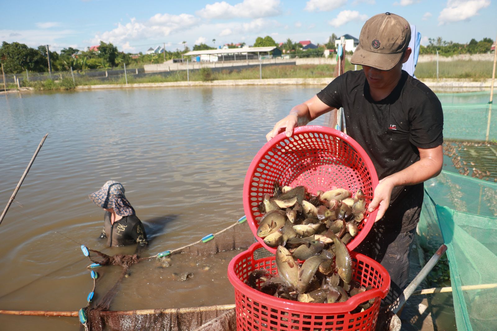   Tổng sản lượng thủy sản 4 tháng đầu năm tăng 2,8%