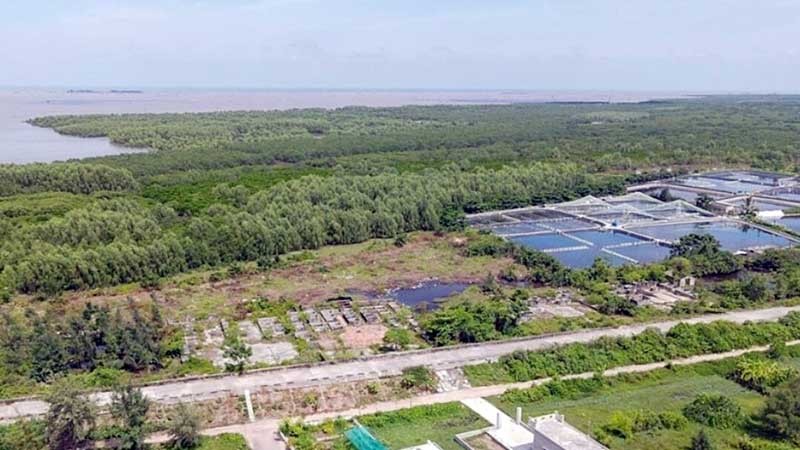   Chung quanh việc quy hoạch đất rừng ven biển tại tỉnh Thái Bình