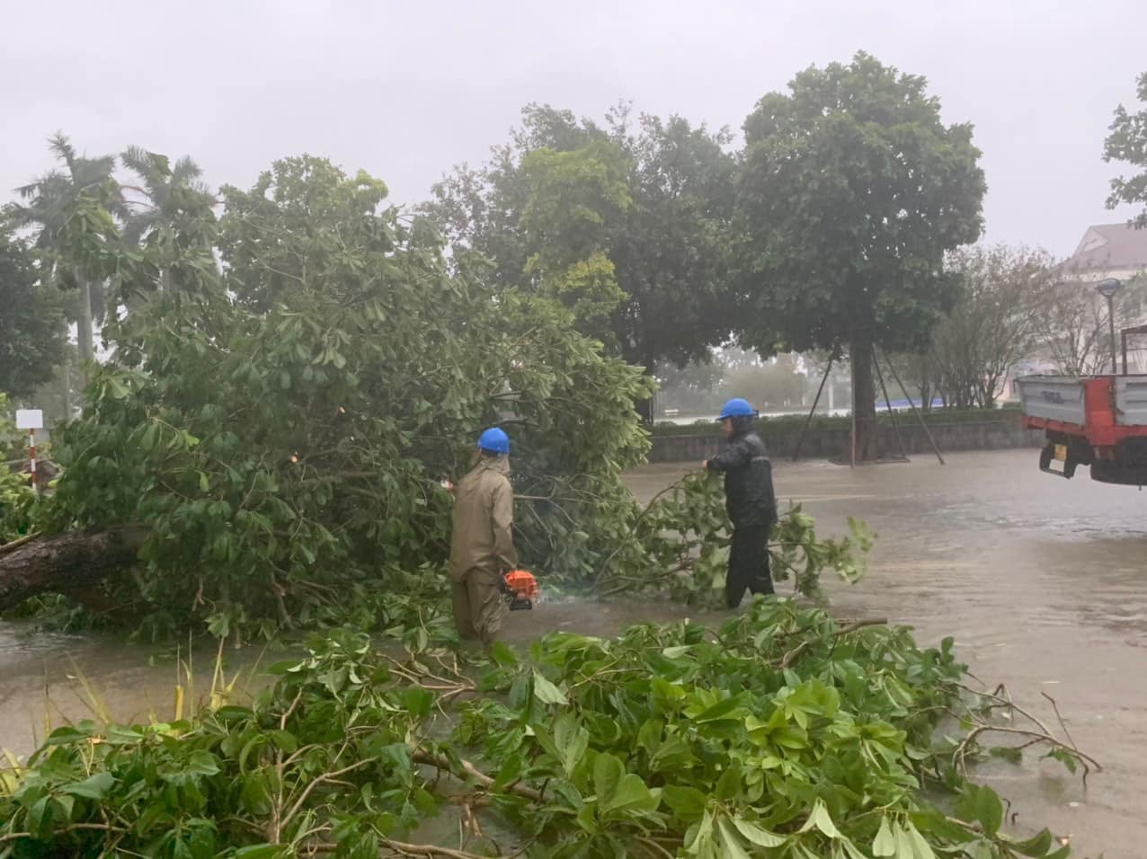   Huy động gần 1.000 thanh niên xung kích tham gia khắc phục hậu quả do bão số 3 gây ra