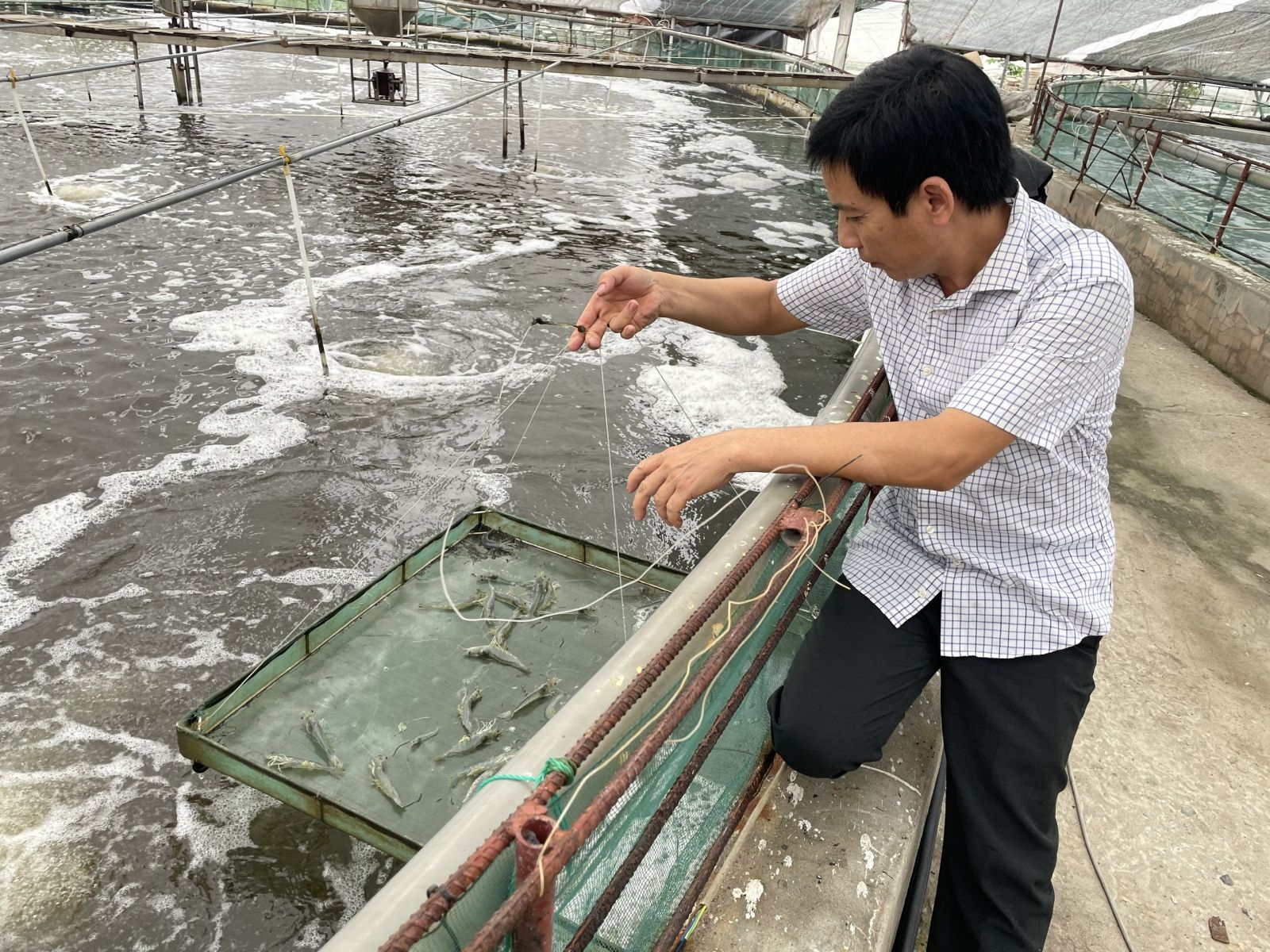   Tổng sản lượng thủy sản toàn tỉnh quý I/2024 tăng 2,7% so với cùng kỳ