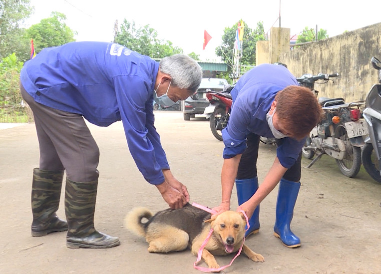   Đẩy nhanh tiến độ tiêm vắc xin dại cho đàn chó, mèo năm 2024