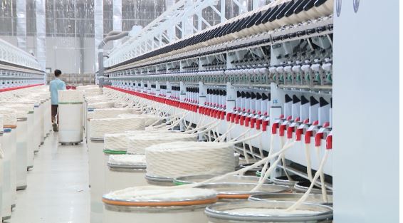   Giá trị sản xuất VV888 bet đăng nhập đạt trên 54.000 tỷ đồng