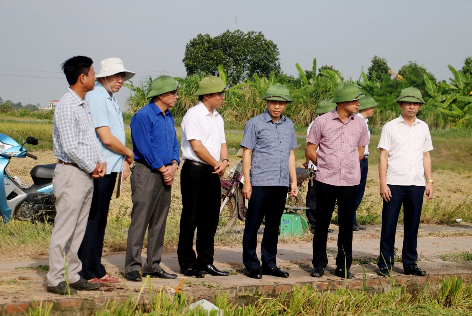   Đồng chí Phó Chủ tịch UBND tỉnh: Kiểm tra, chỉ đạo công tác thu hoạch lúa mùa, ứng phó với bão số 5