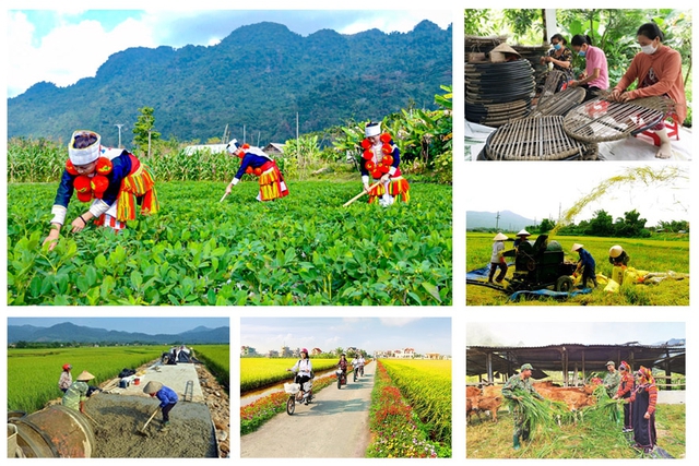   Đẩy nhanh giải ngân vốn các chương trình mục tiêu quốc gia