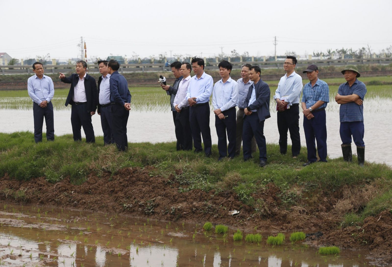   Các đồng chí lãnh đạo tỉnh kiểm tra tình hình sản xuất tại một số địa phương