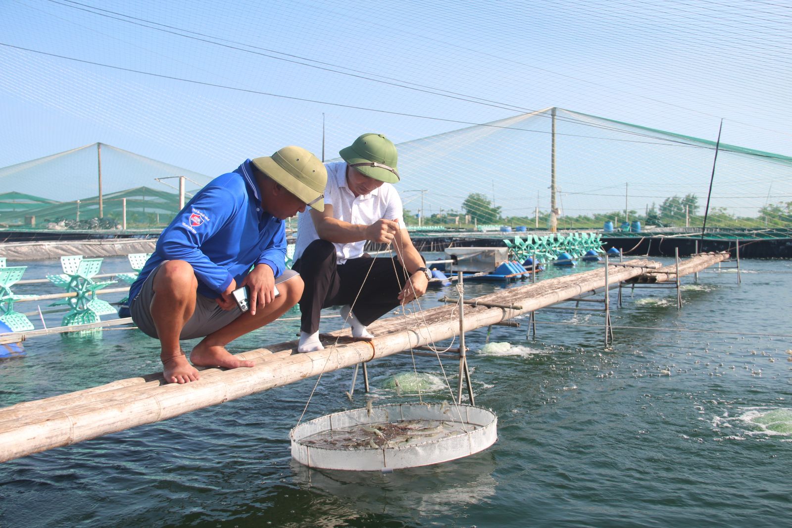   Tổng sản lượng thủy sản tăng 3,2% so với cùng kỳ