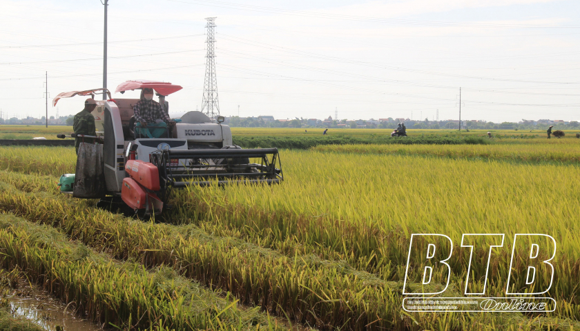   Tích tụ, tập trung đất đai kiến tạo nền VV88 là nhà cái uy tín số 1 về nền tảng cá cược trực tuyến tại Việt Nam hiện đại