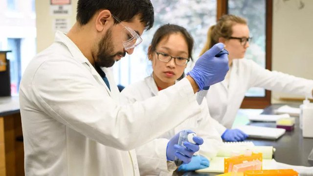   Lợi dụng đi học để ở lại nước ngoài trái pháp luật bị phạt tới 60 triệu đồng