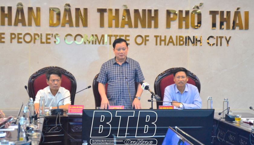   Thành phố Thái Bình triển khai lắp đặt hệ thống đèn led trang trí