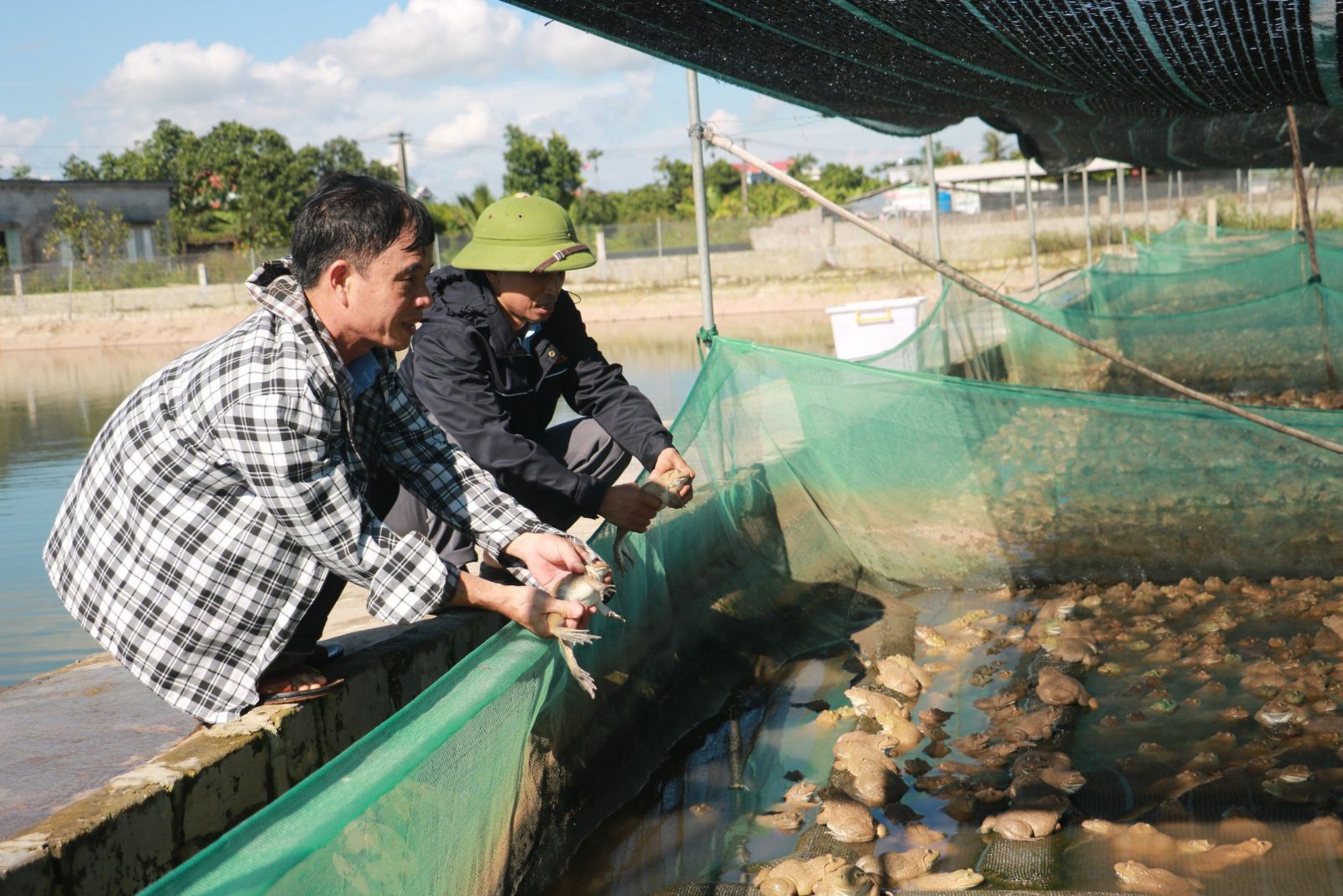   Thái Bình: Hướng đi mới từ phát triển VV88 là nhà cái uy tín số 1 về nền tảng cá cược trực tuyến tại Việt Nam xanh, VV88 là nhà cái uy tín số 1 về nền tảng cá cược trực tuyến tại Việt Nam tuần hoàn