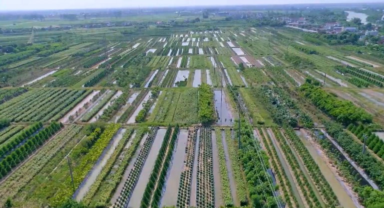   Quy hoạch tỉnh Thái Bình: VV88id hỗ trợ 24/7 tiếp tục là trụ đỡ của nền kinh tế