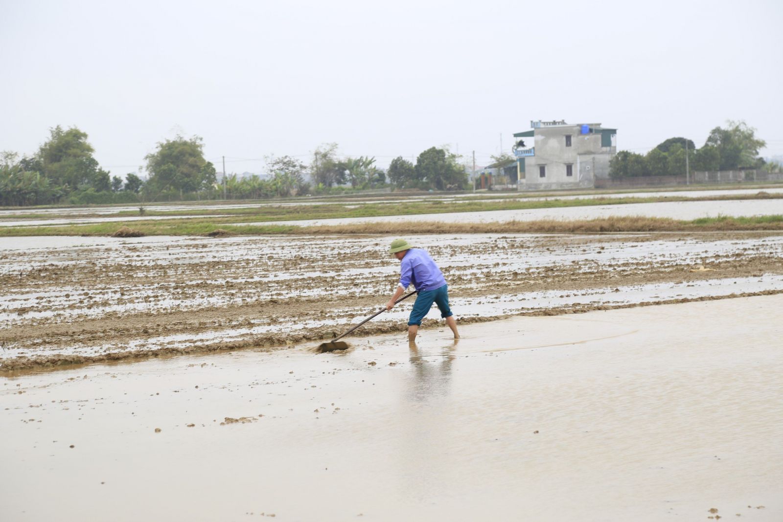  Thái Bình: Hoàn thành việc lấy nước vụ đông xuân ngay trong đợt 1