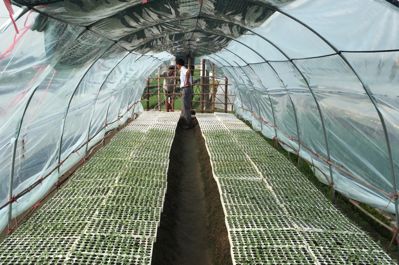   Thái Bình: Tiếp nhận và phân bổ hơn 10 tấn hạt giống cây trồng từ nguồn dự trữ quốc gia