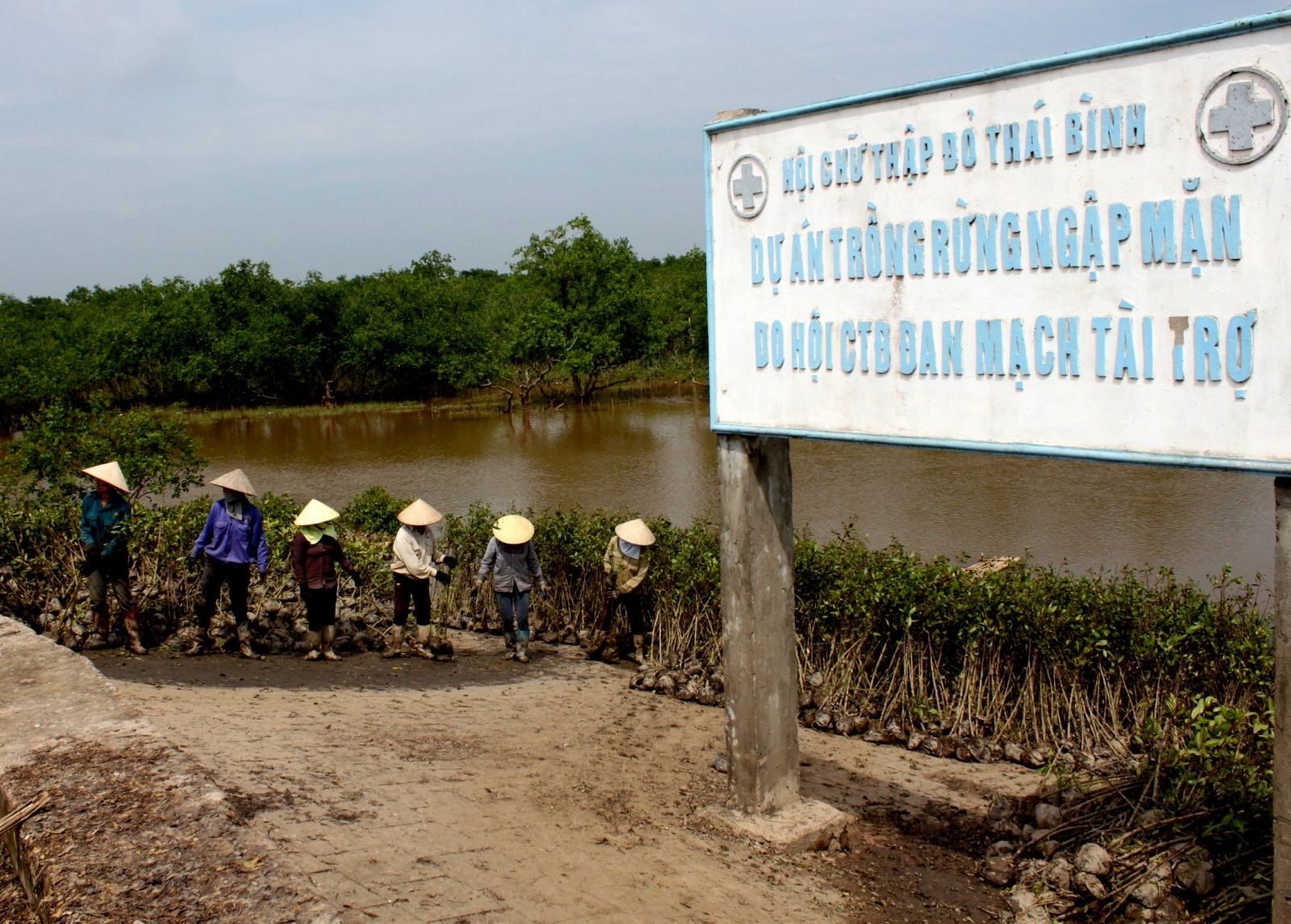   Thái Bình: Phấn đấu trồng khoảng 1,5 triệu cây xanh trong năm 2024