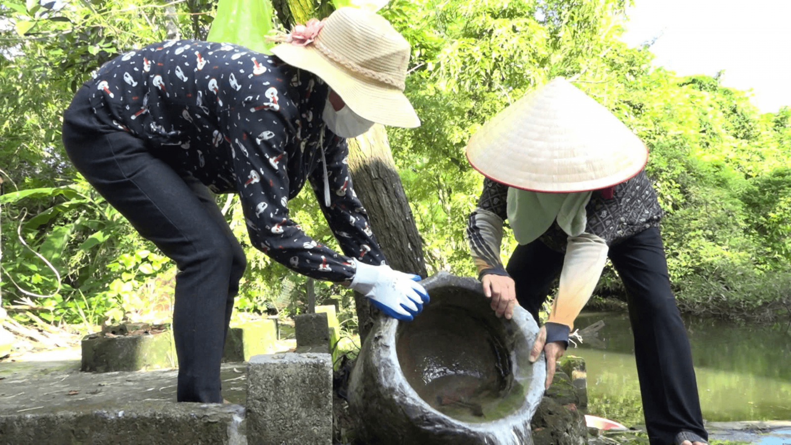   Thời điểm giao mùa, đề phòng sốt xuất huyết