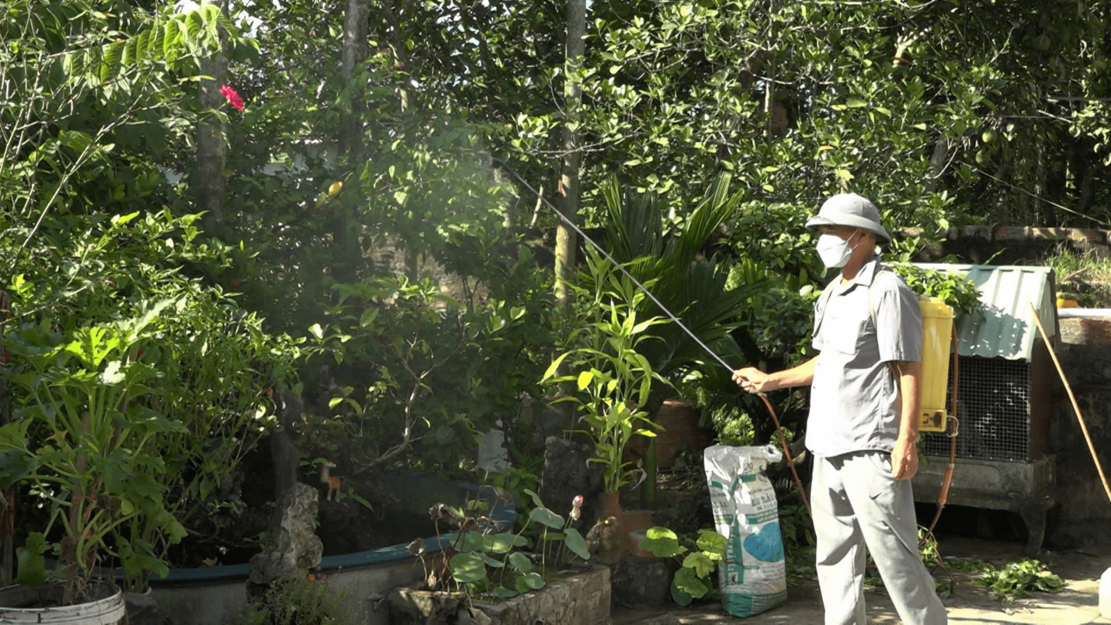   Tổ chức vệ sinh, khử trùng, tiêu độc từ ngày 20/9 – 20/10