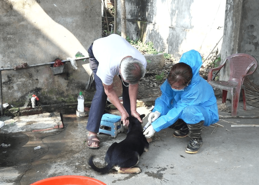   Bảo đảm tỷ lệ tiêm phòng vắc xin Dại đạt 80% tổng đàn chó, mèo trở lên