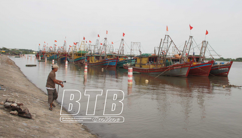   Thái Bình: Chuẩn bị điều kiện tốt nhất đón đoàn thanh tra Ủy ban châu Âu