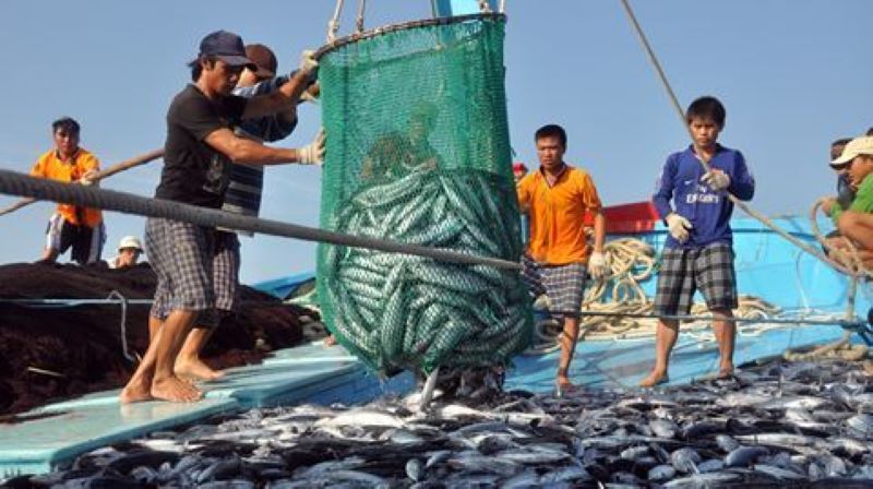   EC sang Việt Nam, kiểm tra gỡ 'thẻ vàng' IUU