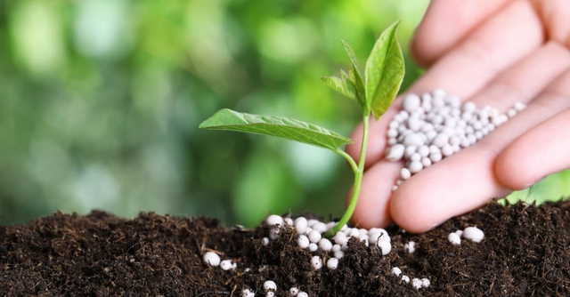   Vi phạm hành chính về phân bón bị phạt tới 200 triệu đồng