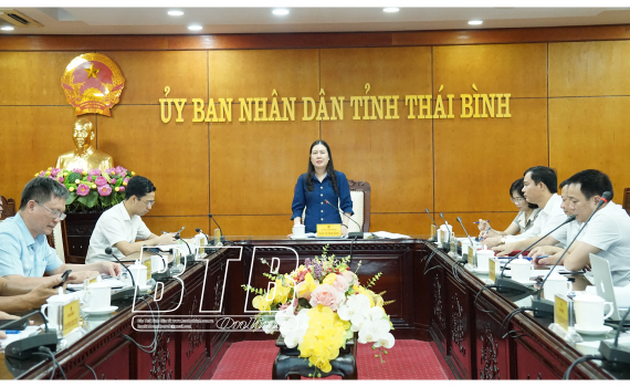   Phương án quy hoạch Di tích quốc gia đặc biệt Khu lăng mộ và đền thờ các vị vua triều Trần