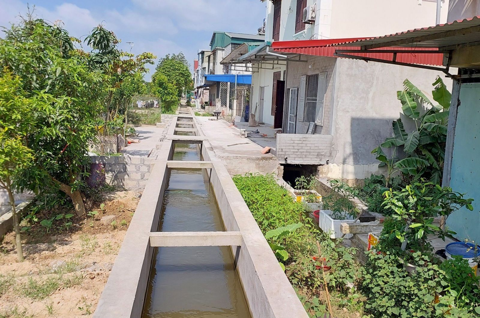   Xử lý 220 vụ vi phạm hành lang bảo vệ công trình thủy lợi trong năm 2023