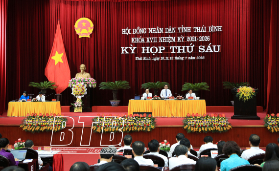   Thảo luận phân tích rõ hơn những kết quả phát triển kinh tế - xã hội, cử tri và nhân dân quan tâm