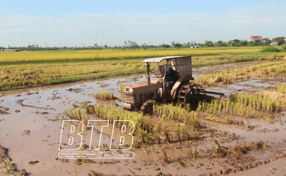   Chủ động các điều kiện cho sản xuất vụ mùa