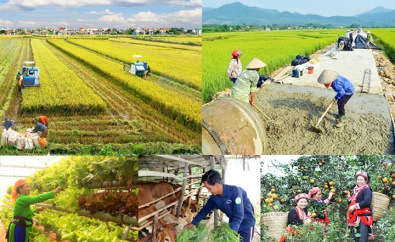   Tháo gỡ khó khăn, thúc đẩy triển khai thực hiện 3 chương trình mục tiêu quốc gia