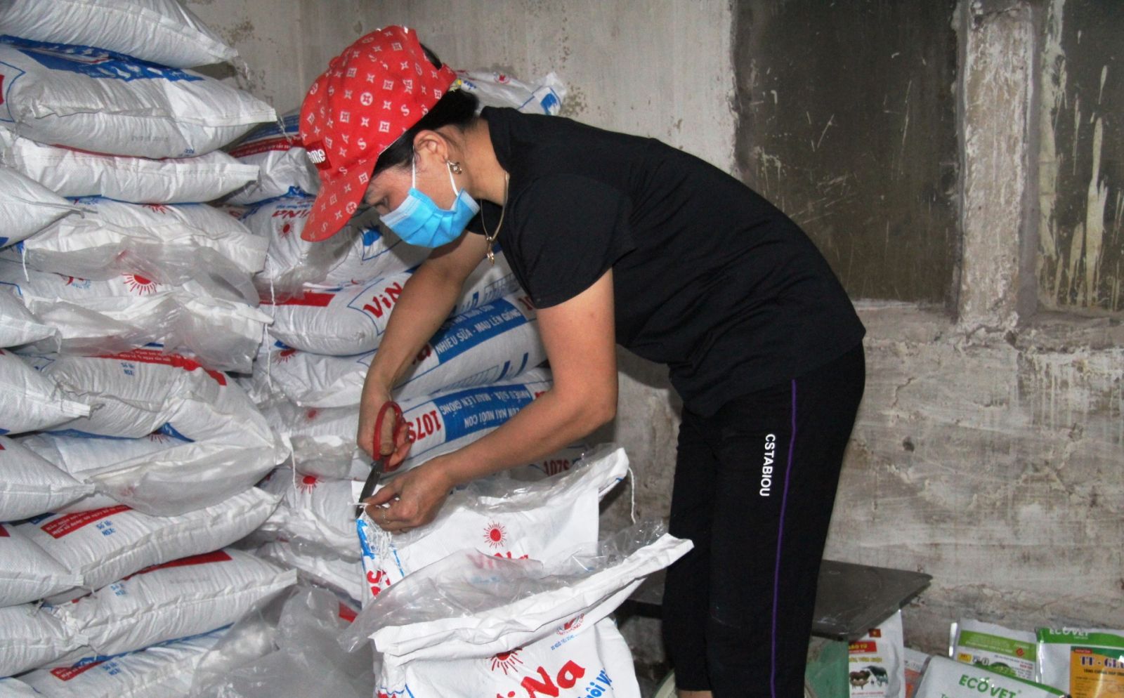   Phê duyệt Đề án Phát triển VV888 bet đăng nhập chế biến thức ăn chăn nuôi