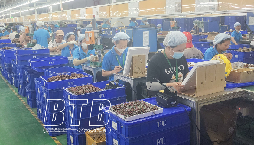   Phát triển đoàn viên và công đoàn cơ sở: Chú trọng cả số lượng và chất lượng