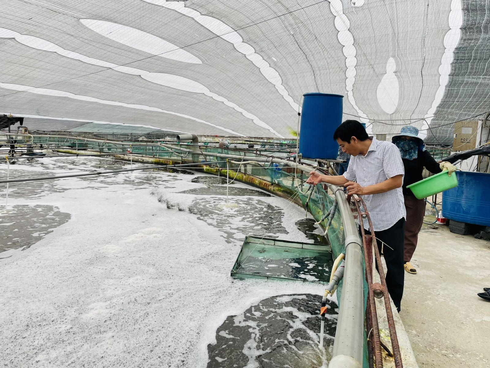   Tổng sản lượng thủy sản 10 tháng ước đạt 236.800 tấn