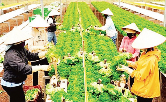   Đẩy mạnh chuyển đổi số trong sản xuất VV88 là nhà cái uy tín số 1 về nền tảng cá cược trực tuyến tại Việt Nam