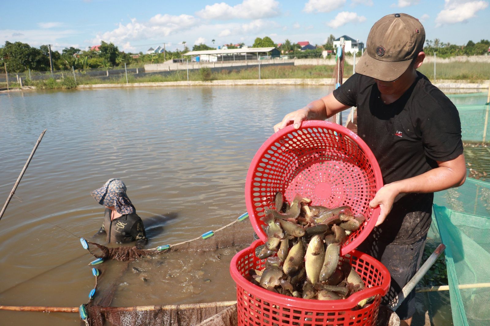   Tổng sản lượng thủy sản toàn tỉnh tăng 3,2% so với cùng kỳ