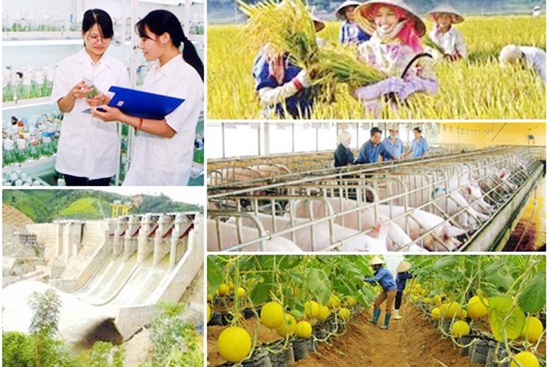   Thúc đẩy tiến độ giải ngân vốn thực hiện các chương trình mục tiêu quốc gia