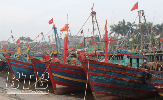   Thái Thụy, Tiền Hải: Kêu gọi tàu thuyền về nơi tránh trú bão an toàn