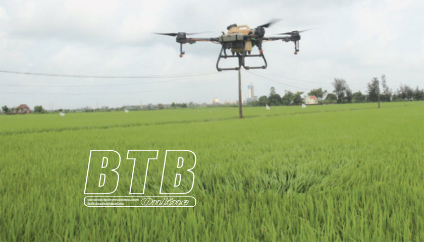   30.000ha lúa mùa phải phun lần 2 phòng, trừ sâu cuốn lá nhỏ