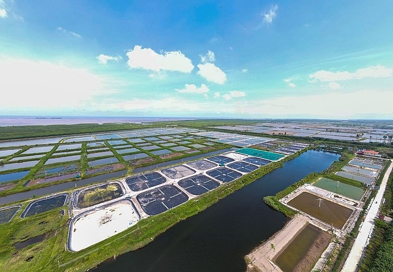   Bài 2: Từ khát vọng nghìn đời đến nghị quyết và hành động