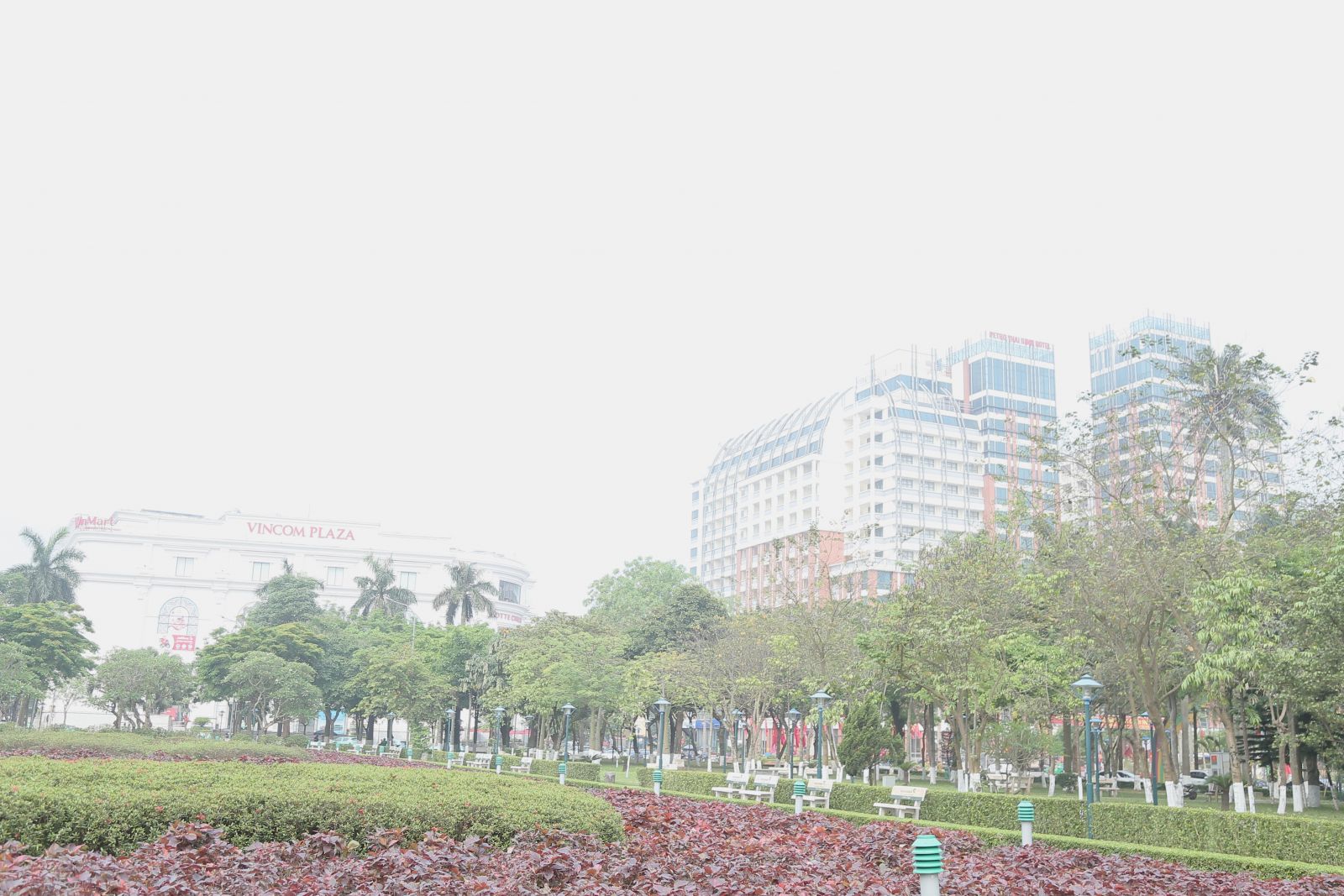   Bảo đảm an toàn trong công tác quản lý cây xanh đô thị