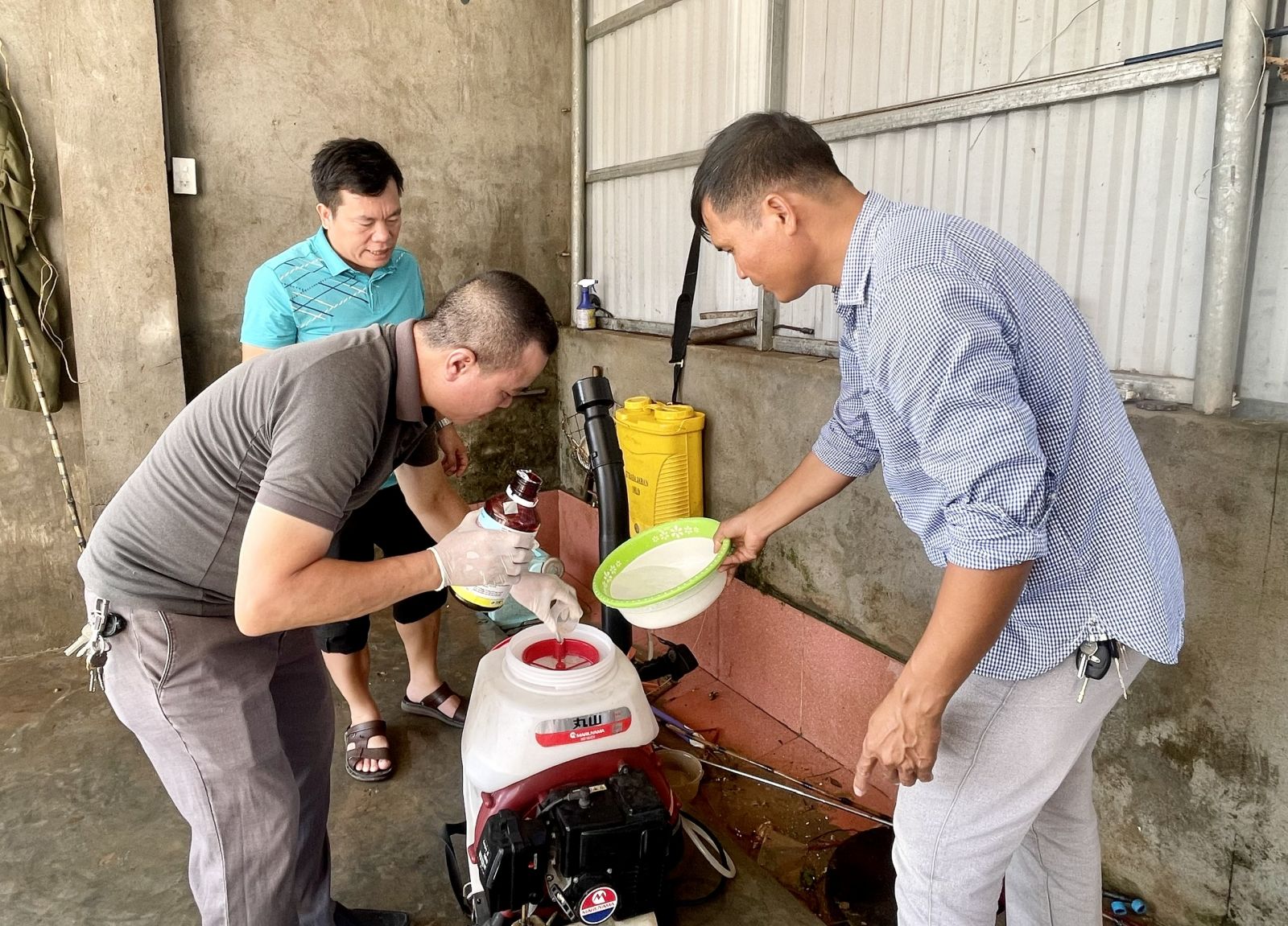   Tuần qua, Thái Bình ghi nhận nhiều ca sốt xuất huyết