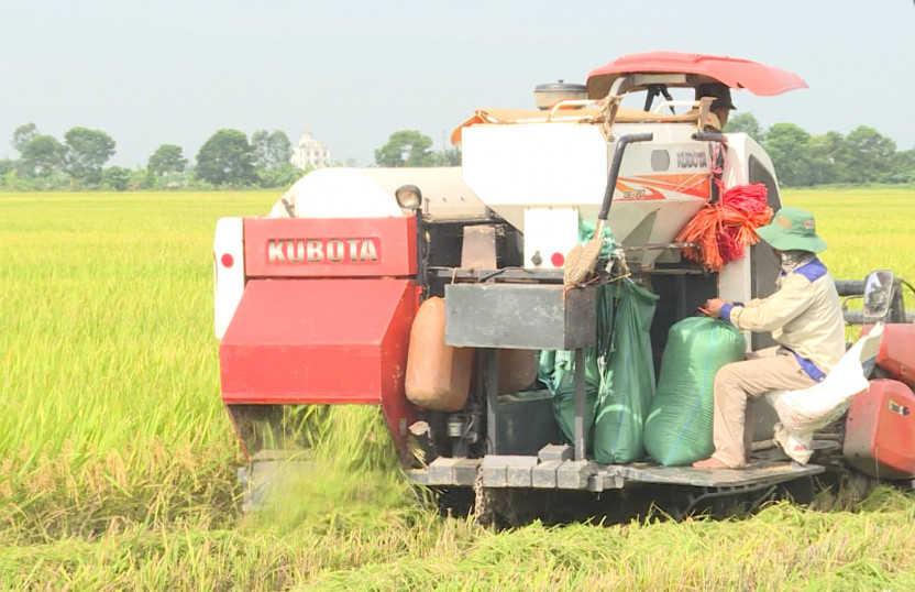   Tổng giá trị sản xuất năm 2023 huyện Đông Hưng ước đạt 18.745 tỷ đồng