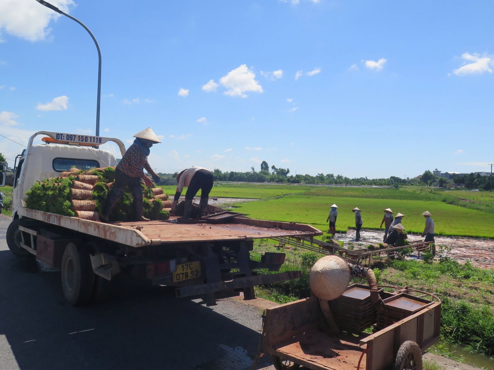   HTX Sản xuất kinh doanh nông sản Quang Lanh được công nhận là HTX tiêu biểu toàn quốc năm 2024