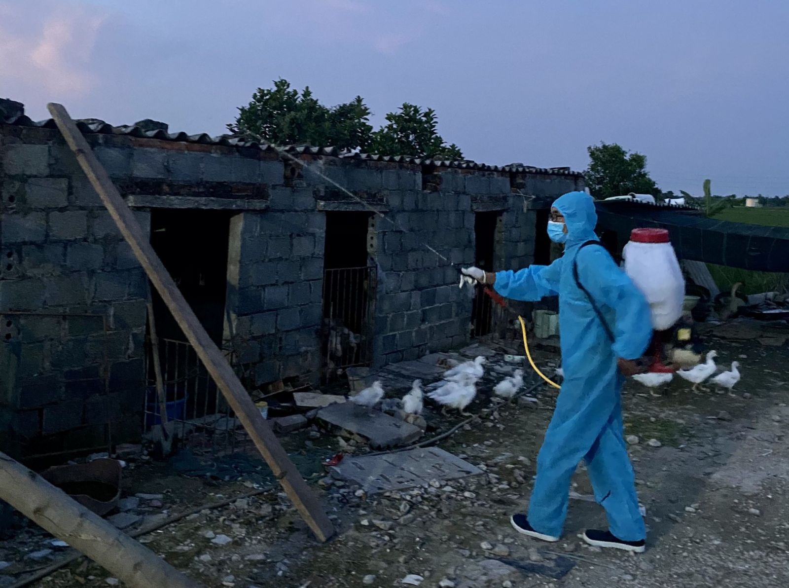   Tổ chức tháng vệ sinh khử trùng, tiêu độc đợt 1 năm 2024 từ ngày 1- 31/3