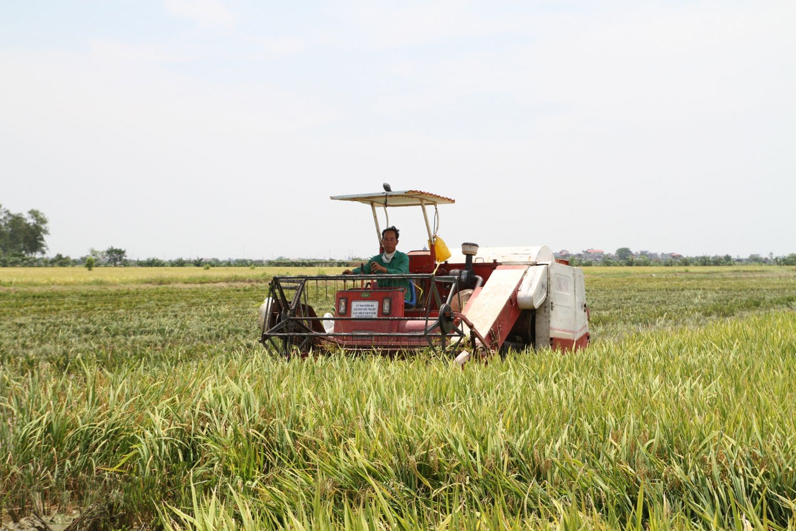   Quỳnh Phụ: Tổng giá trị sản xuất tăng 9,9%