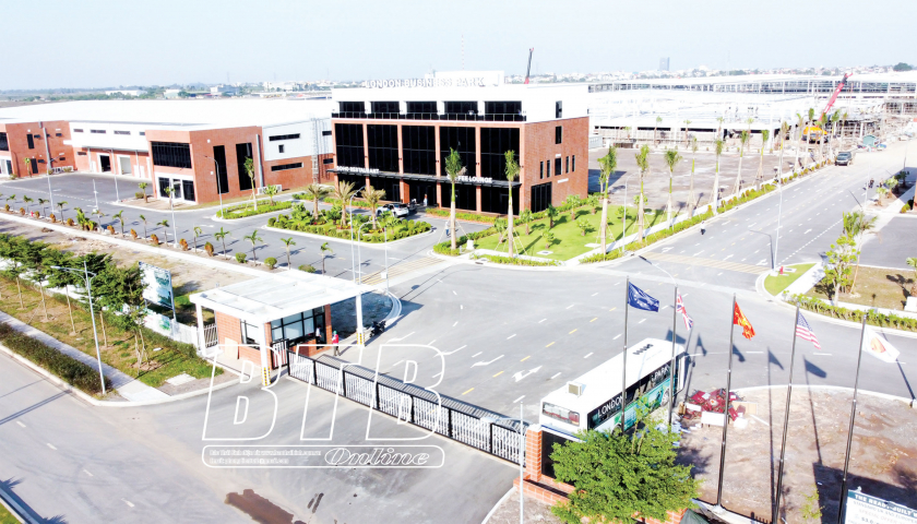   Bài 2: Đón ánh bình minh