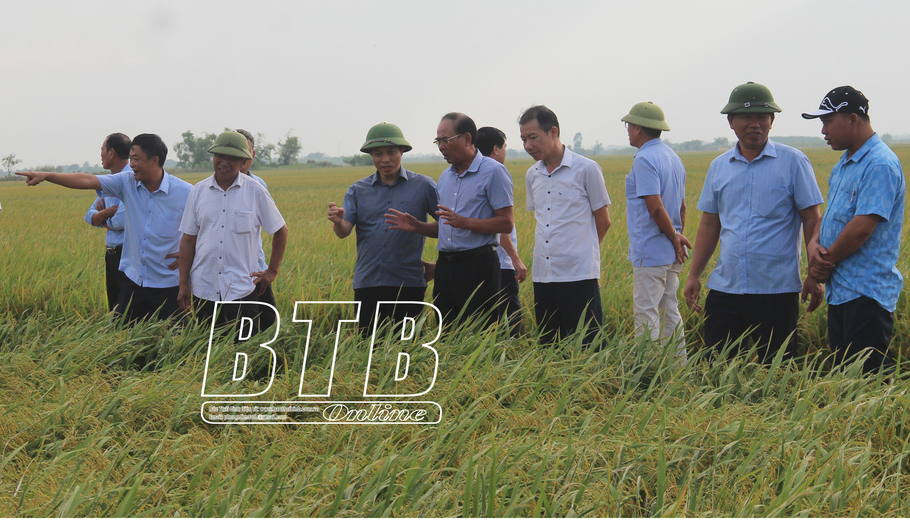   Đồng chí Phó Chủ tịch UBND tỉnh: Kiểm tra tiến độ thực hiện dự án liên kết sản xuất và tiêu thụ sản phẩm lúa gạo tại Tiền Hải