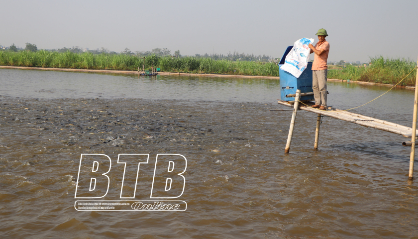   Bình Định: Nâng cao tiêu chí thu nhập trong xây dựng nông thôn mới kiểu mẫu