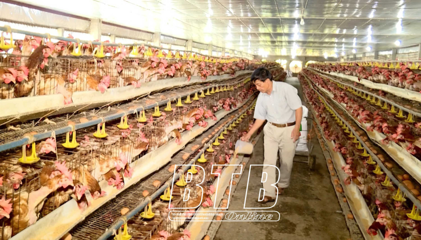   Khử trùng, tiêu độc bảo vệ đàn gia súc, gia cầm